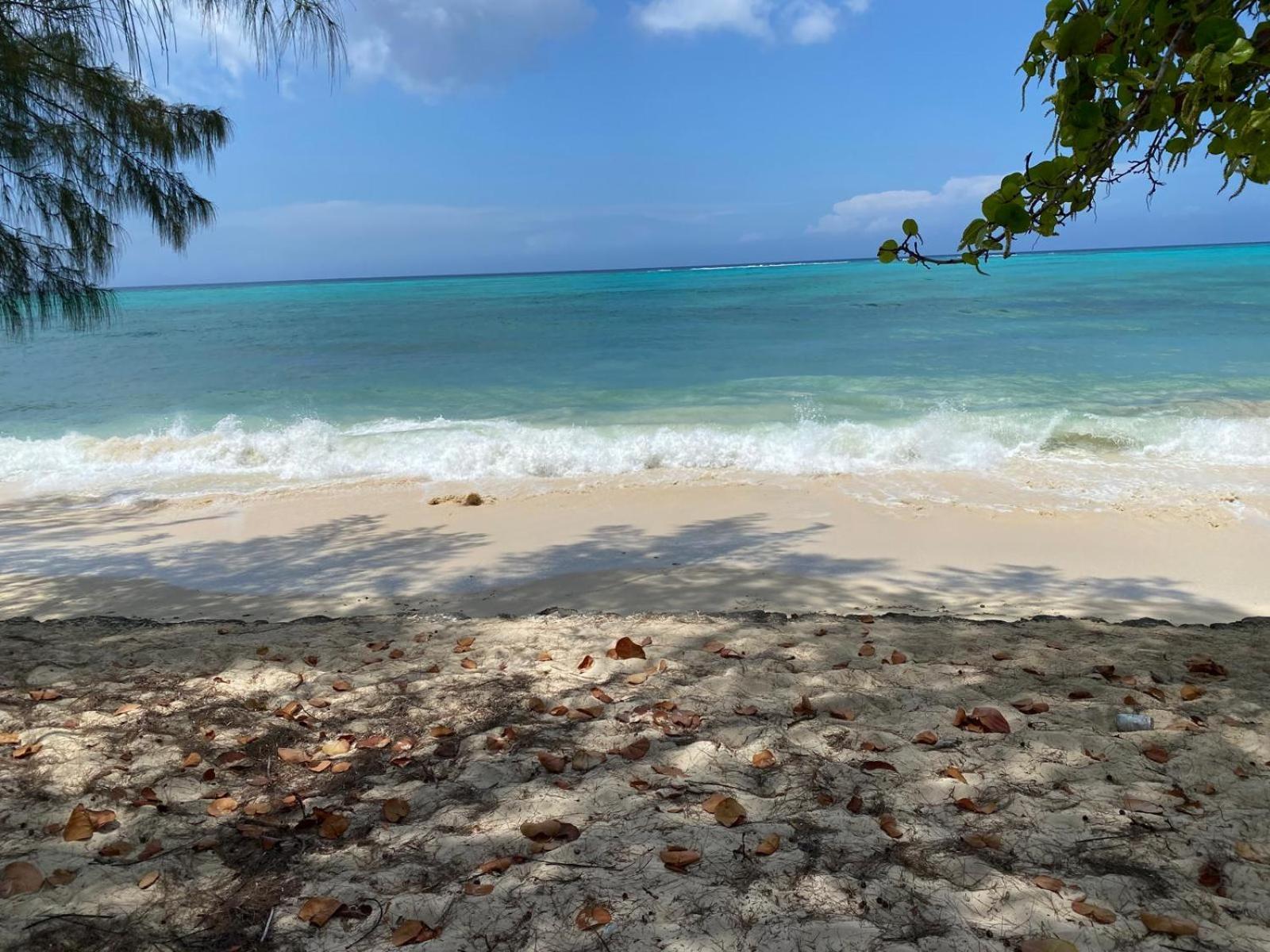 Sea Shells Nassau